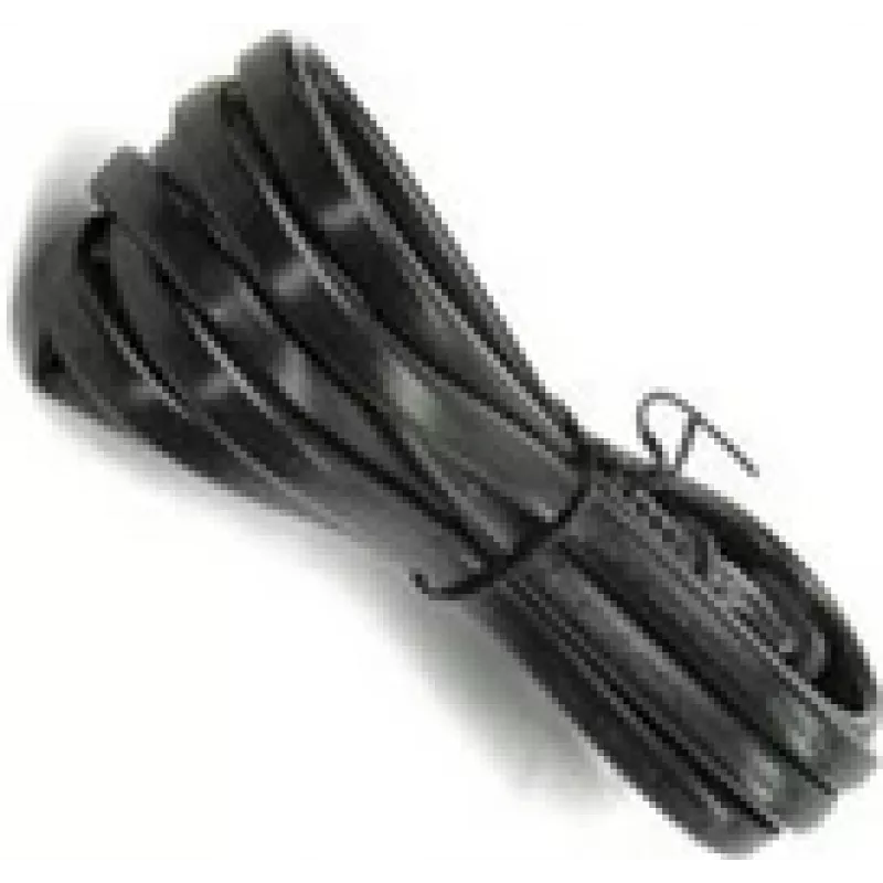 Extreme Networks PWR CORD10ABS1363C13 (10034)