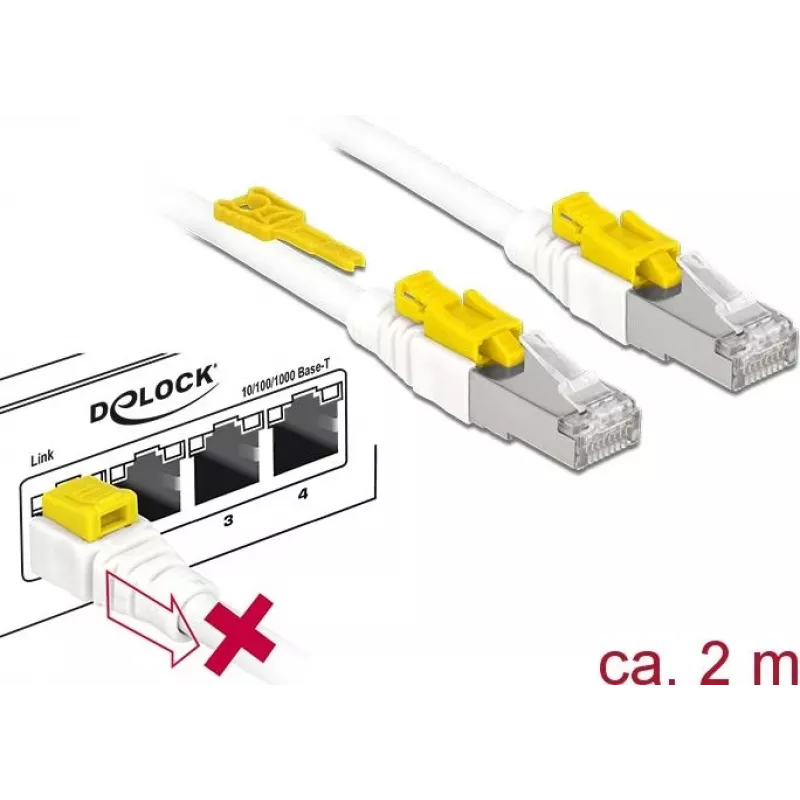 Tinklo kabelis DeLOCK 85332 RJ-45 Cat6a 2 m Baltas