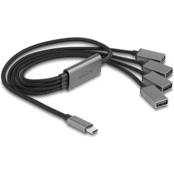 DeLOCK 64210 USB 2.0 Type-C Hub 480 Mbit/s Juoda Pilka