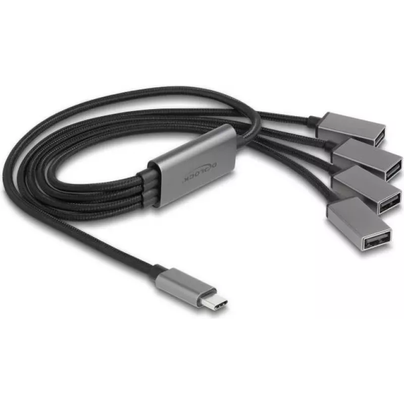 DeLOCK 64210 USB 2.0 Type-C Hub 480 Mbit/s Juoda Pilka