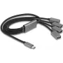 DeLOCK 64210 USB 2.0 Type-C Hub 480 Mbit/s Juoda Pilka