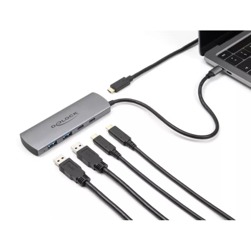 USB šakotuvas DeLOCK 64299
