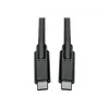 USB-C laidas Tripp Lite U420-010 10 pėdų USB 3.2 Gen 1 5 Gbps