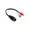 Alcasa AD-2CS5B Audio-Cable 0,2 m 2 x RCA DIN (5-pin) Juoda - Red - White (AD-2CS5B)