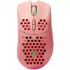 Pelė Deltaco GAM-120-P