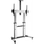 ROLINE stovas LCD ekranui - Sidabrinis - Ekrano dydis: 152,4–254 cm (60–100)