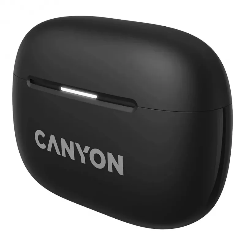 Ausinės Canyon CNS-TWS10B