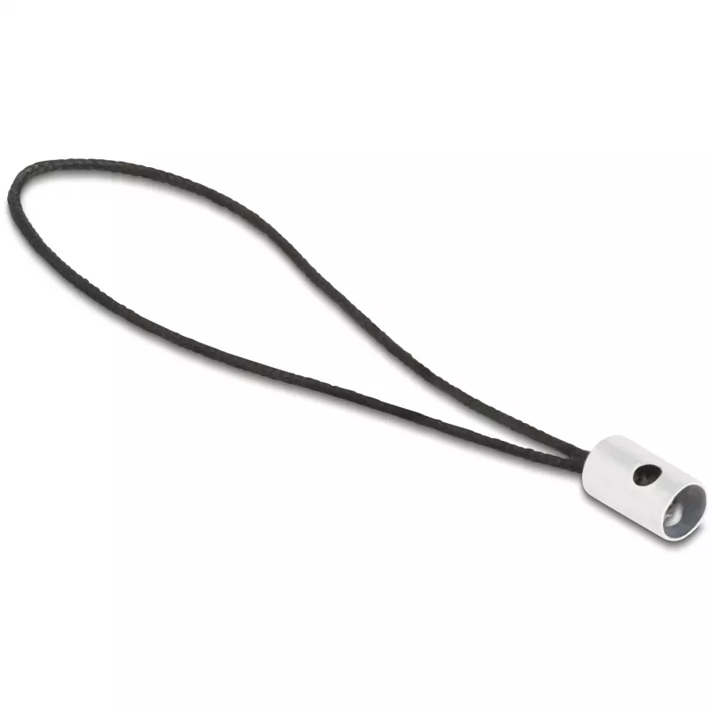Adapteris DeLOCK 60688 USB 2.0 Type-C į 8 kontaktų Lightning antracito spalvos