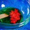 Liscianigiochi Science Kit Crazy Science Slime Chameleon 304-PL89246 – edukacinis gleivių eksperimentų rinkinys