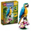 LEGO konstravimo rinkinys Egzotiška papūga 31136 — Creator parodomasis modelis, 253 dalys, 220×120×110 mm