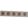 RFID NFC apsauginė žyma SCOT NTAG213 18 mm skaidri, pakuotėje 10 vnt.