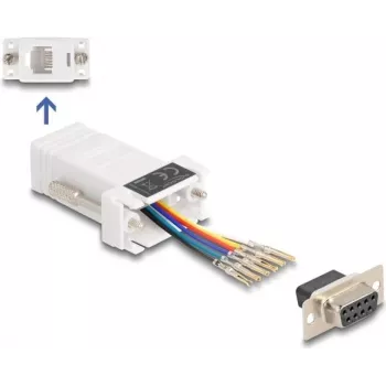 DeLOCK 67078 kabelių jungties adapteris D-Sub 9 RJ12 baltas
