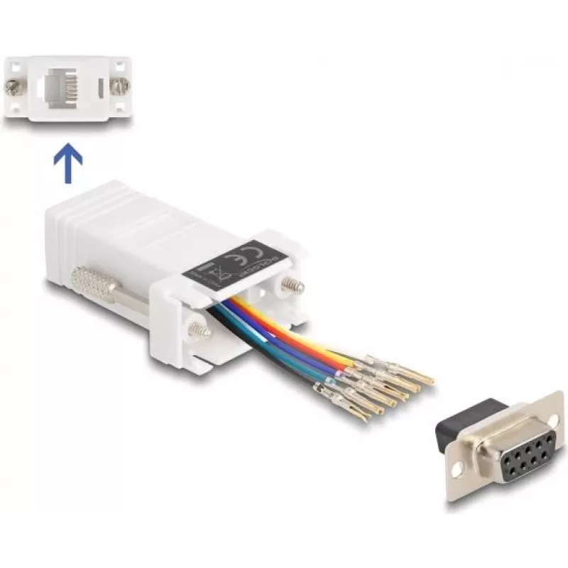 DeLOCK 67078 kabelių jungties adapteris D-Sub 9 RJ12 baltas