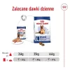 ROYAL CANIN SHN Maxi Ageing Loaf Can 410g