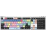 Klaviatūra Logickeyboard LKB-PPROCC-AJPU-UK Office USB QWERTY UK English Spalvota