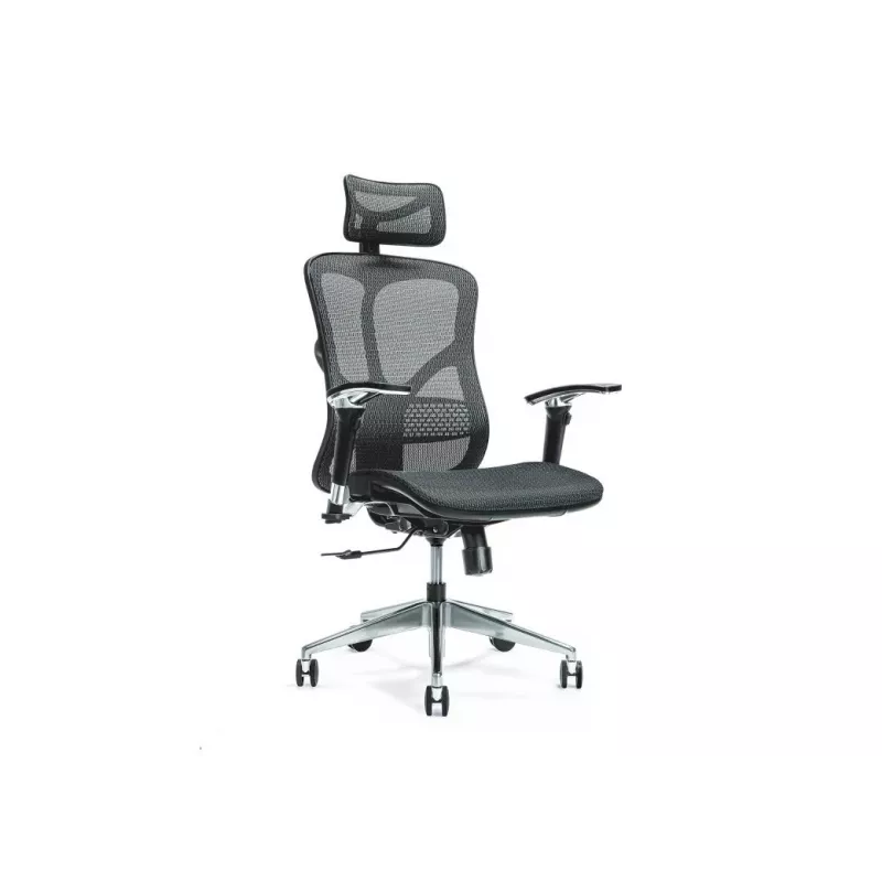 Ergonominė biuro kėdė ERGO 500 juodas
