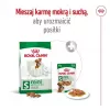 Sausas šunų maistas Royal Canin Adult Mini S 8 kg — visavertė mityba mažiems suaugusiems šunims