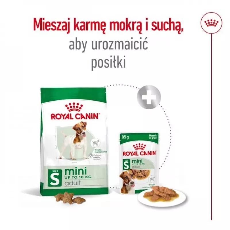 Sausas šunų maistas Royal Canin Adult Mini S 8 kg — visavertė mityba mažiems suaugusiems šunims