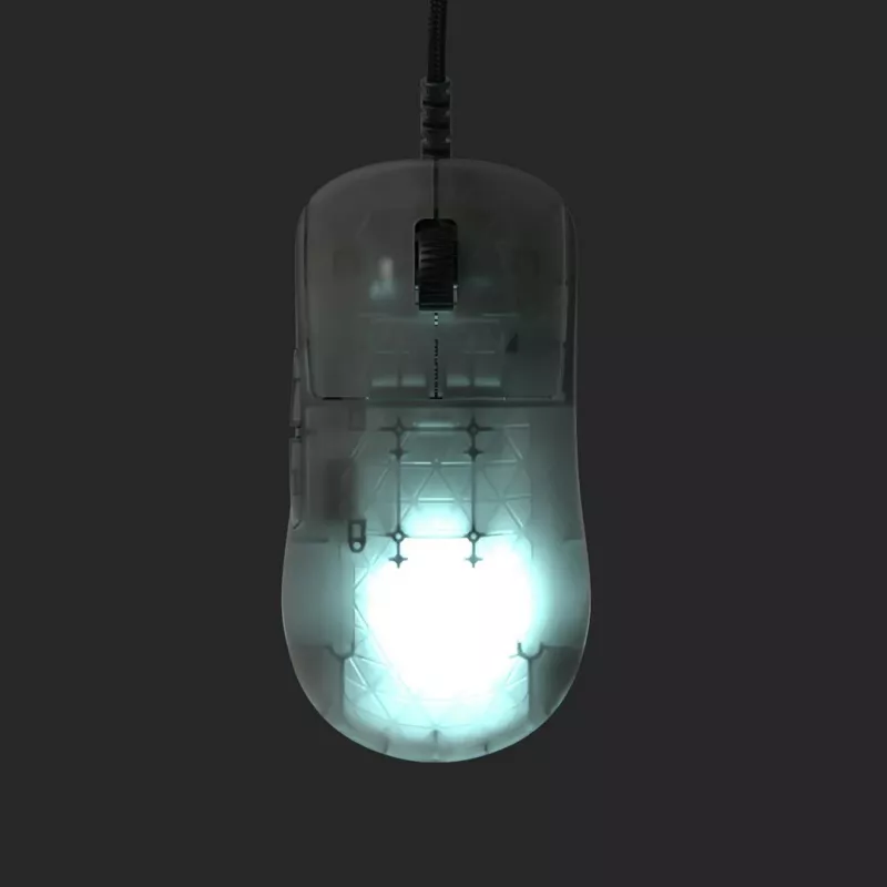 Endgame Gear OP1 RGB pelė Žaidimams Dešiniarankiams USB Type-A Optinė 26000 DPI