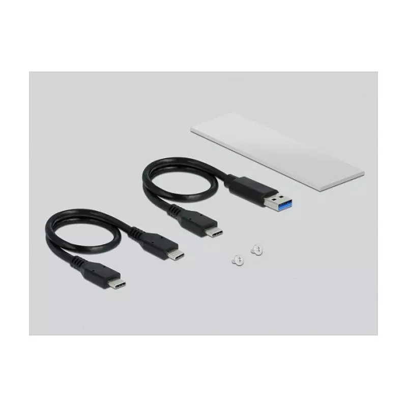 SSD dėžutė DeLOCK 42634 sidabrinė M.2