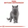 Šlapias kačių maistas Royal Canin British Shorthair Adult pakelis 85 g, paukštiena, ROYAL CANIN Feline Breed Nutrition