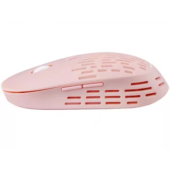 Pelė Tracer PUNCH RF belaidė optinė 800 DPI