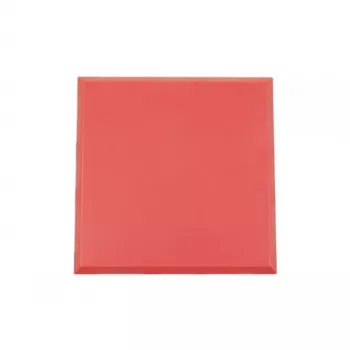 ALLNET Brick'R'knowledge plastikinis korpusas 2x2 raudonas viršus ir apačia 10 vnt. pakuotėje