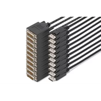 Digitus DisplayPort – DVI adapterio laidas, pakuotėje 10 vnt.