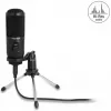 Delock - Mikrofonas - USB - Juodas (66832)