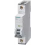 Siemens miniatiūrinis grandinės pertraukiklis 6 A 1-pin B (5SY4106-6)
