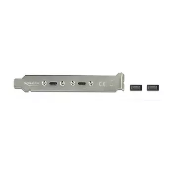 DeLOCK 89935 lizdo laikiklis su 2 USB Type-C prievadais