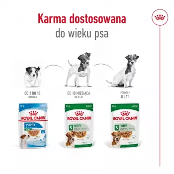 Šlapias šunų maistas Royal Canin Mini Adult paketėlis 85 g, paukštiena, mažoms veislėms 5–10 kg, 12 × 85 g pakuotė