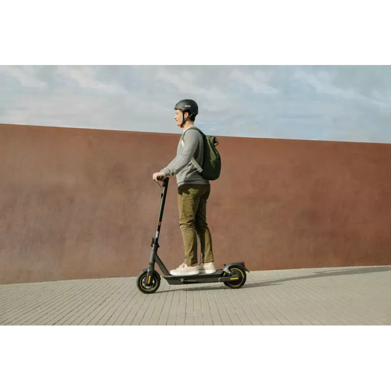 Klasikinis paspirtukas Ninebot by Segway KickScooter MAX G2 D