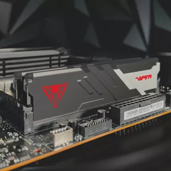 Patriot Memory Viper Venom PVV516G60C30 atminties modulis 16 GB 1 x 16 GB DDR5 6000 MHz ECC