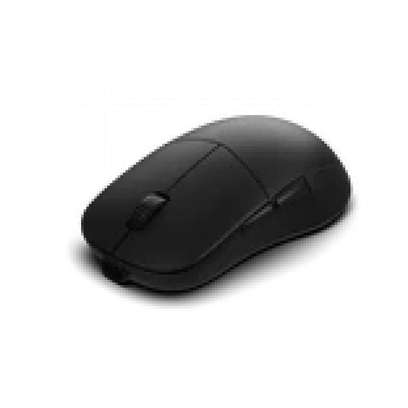 Gaming pelė Endgame Gear XM2w 4k v2, 4,000Hz