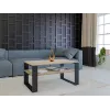 Topeshop MODERN 1P SON CZ kavos / šoninis / kampinis staliukas Kavos staliukas stačiakampė forma 2 koja (-os)