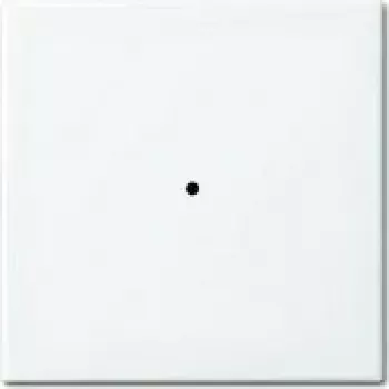 Busch-jaeger 2CKA006730A0092