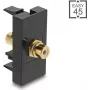 DELOCK Cinch (RCA) movos adapteris, lizdas-lizdas, paauksuotas – modelis 90956