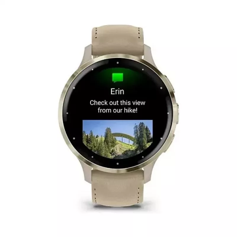 Garmin Venu 3S 41mm, prancūziška pilka / švelnus auksas
