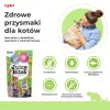 INABA Juicy Bites Homestyle sultinys ir kalmarai - kačių skanėstai - 3x11,3 g