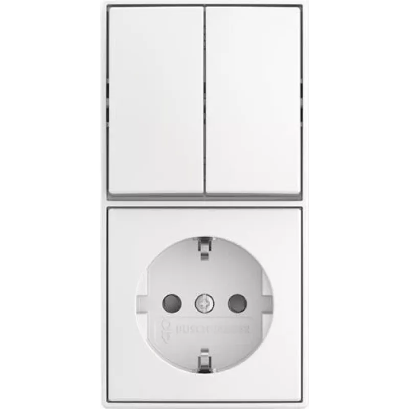 BUSCH JAEGER Kombinuotas svirties jungiklis 2601/5/20 EAPBJ-524 (2TKA00005538)