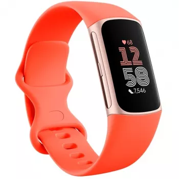 Fitbit GA05184-EU gaminys