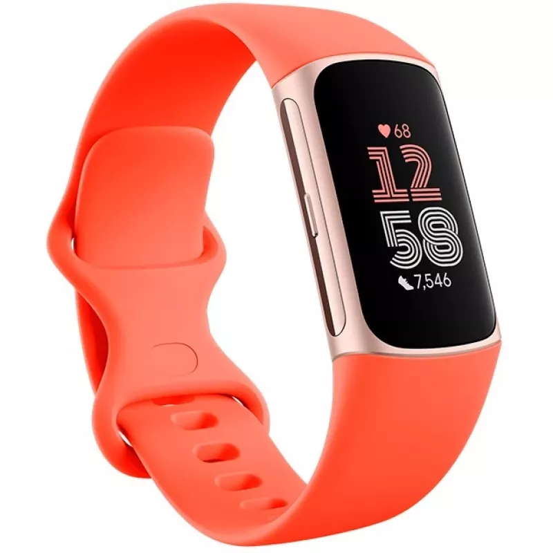 Fitbit GA05184-EU gaminys