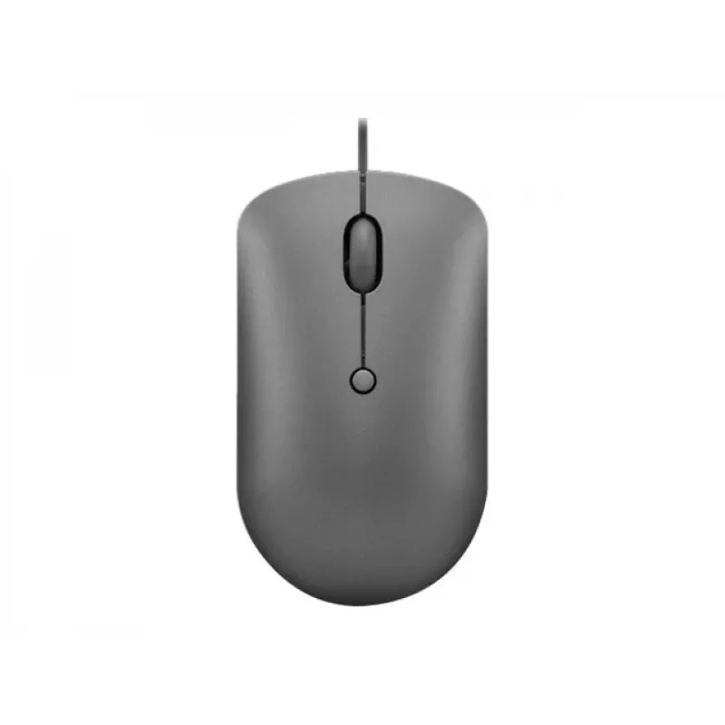 Lenovo 540 pelė Office Ambidextrous USB Type-C Optinė
