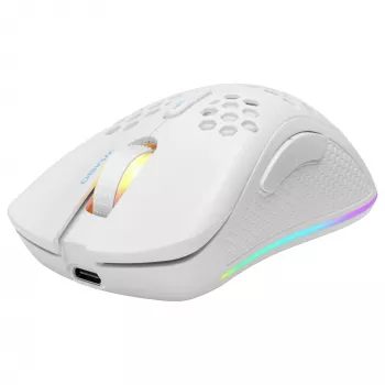 Žaidimų pelė Deltaco GAM-120-W RF belaidė USB Type-C