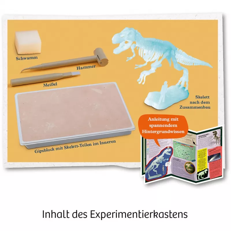 Kosmos T-REX, Papildyta realybė, 7 metai, Žalia Kosmos T-REX. Tipas: Papildyta realybė, Rekomenduojamas amžius (min.): 7 metai, Gaminio spalva: Žalia