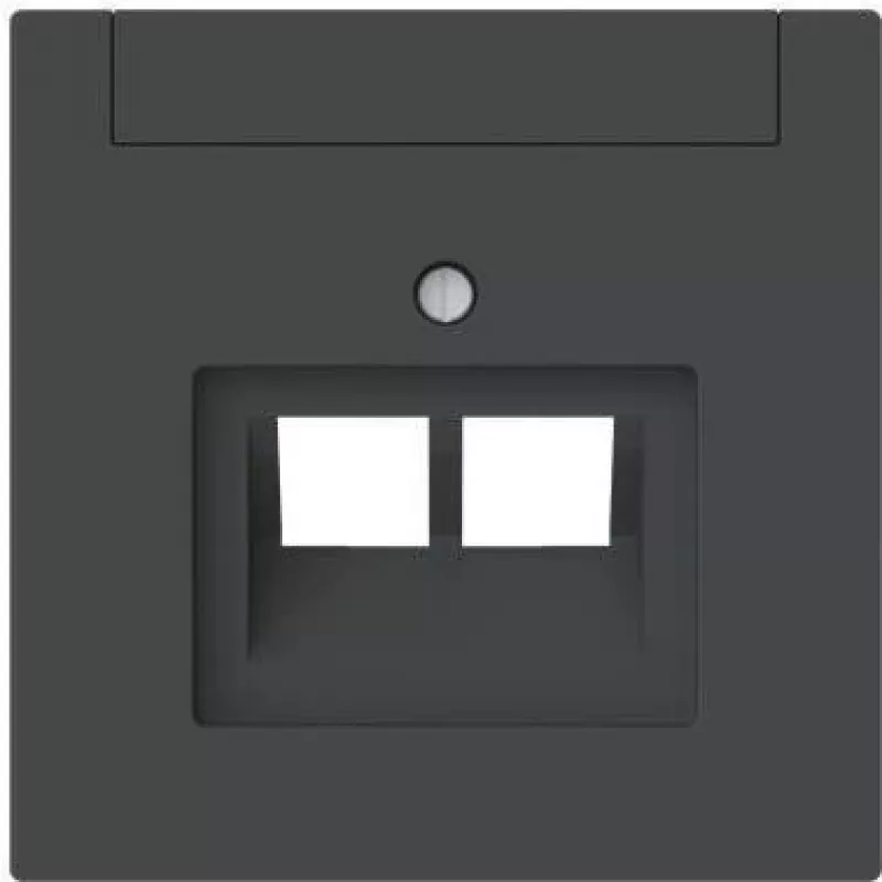 Busch-jaeger 2CKA001710A4230 tinklo įrenginys