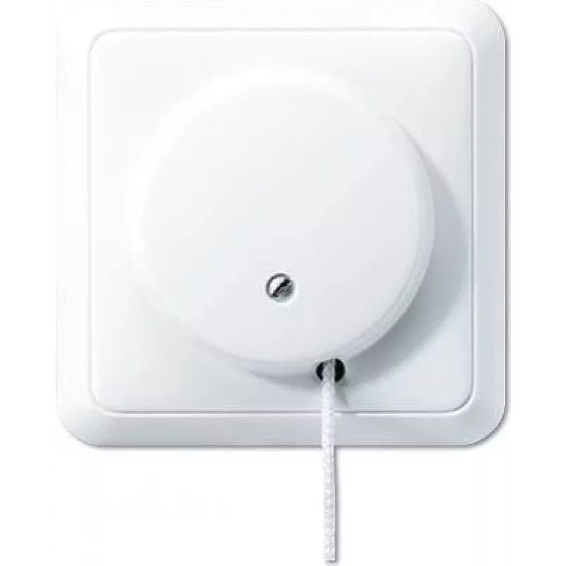 JUNG 5506 to WW - Zugkettenschalter - Laidinis - Balta - termoreaktingasis plastikas - 250 V - 10 A