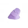 NATEC Crake 2 pelė universali dešiniarankiams RF belaidė + Bluetooth optinė 2400 DPI