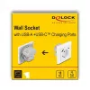 DeLOCK 11499 Kištukinis lizdas F tipas su USB A ir USB C, baltas